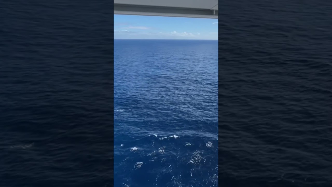 Celebrity Apex Veranda Deck 12 View - Moment of Zen