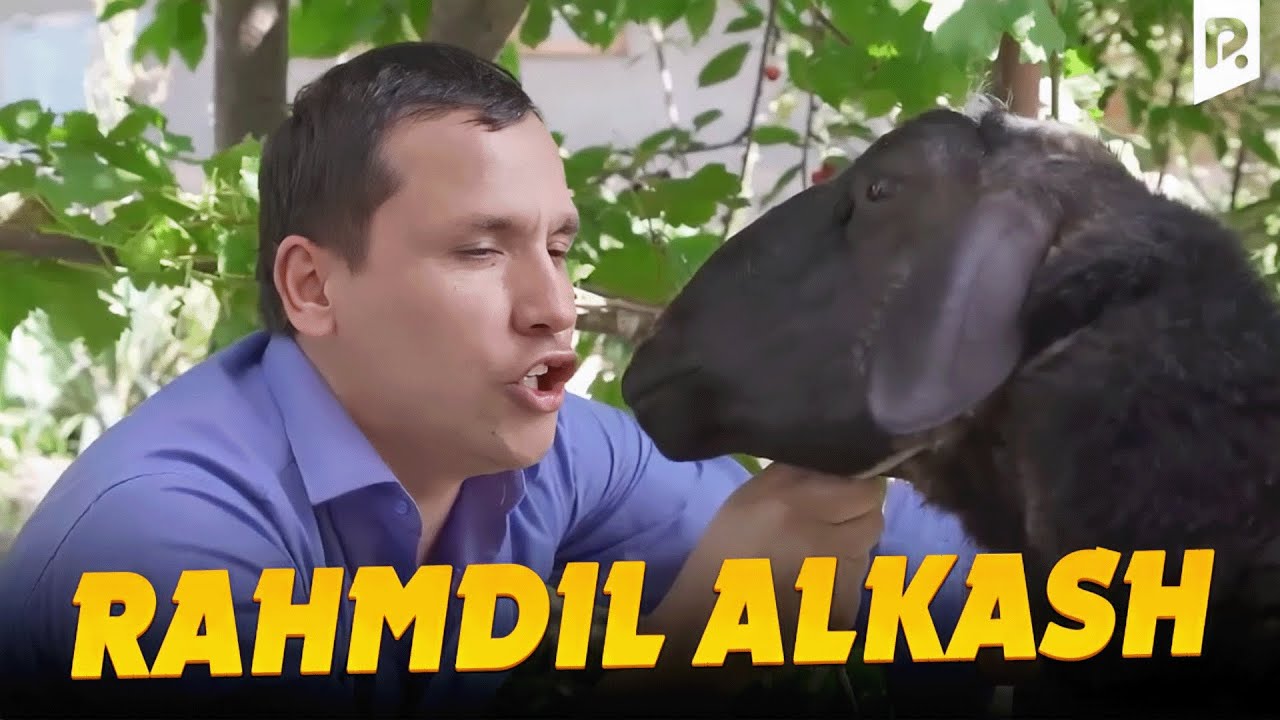 Akula Plus - Rahmdil alkash (hajviy ko'rsatuv)