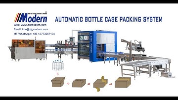 Automatic Case Erector Packer Sealer Machine | Carton Case Packer