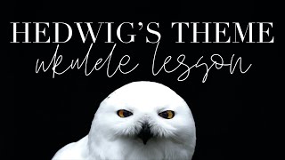 Hedwig’s Theme LIVE Harry Potter Ukulele Lesson