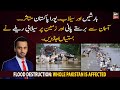 Flood Destruction: Whole Pakistan is affected
