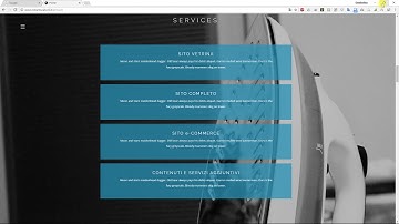 Tersus Muse Support - Arranging Text