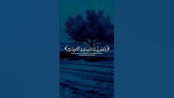 أرح سمعك طهر قلبك #القرآن_الكريم #yasseraldossary #اكسبلور #تلاوة_خاشعة #المصحف #لايك