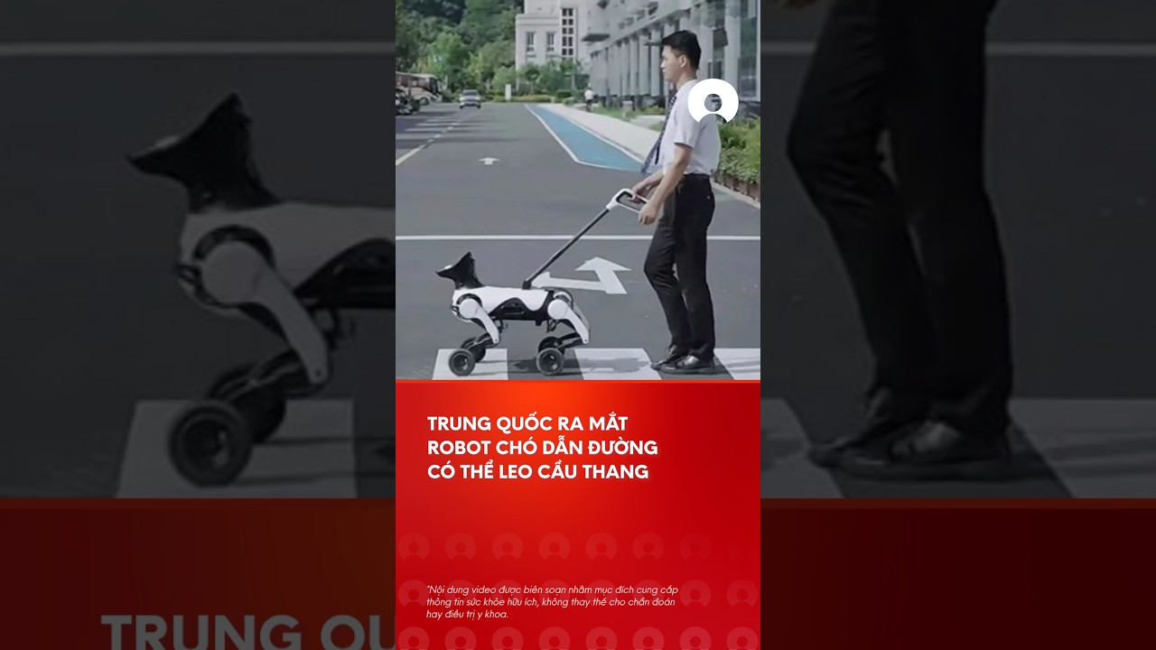 Trung Quá»‘c phÃ¡t triá»ƒn chÃ³ robot há»— trá»£ ngÆ°á»i khiáº¿m thá»‹