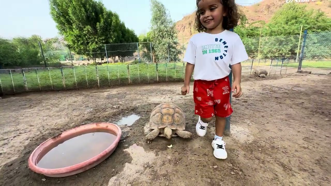 JA Hatta Fort Hotel Dubai Отель в горах ОАЭ