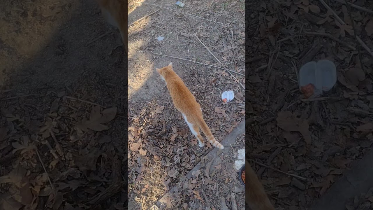 Сегодня не пятница! 