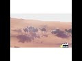 مقاطع ابل