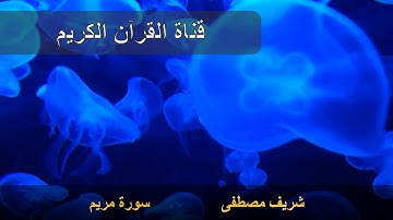 من اروع التلاوات   فخلف من بعدهم خلف   سوره مريم   شريف مصطفى