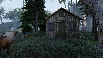 Lumion 10 Pro Forest House 3D