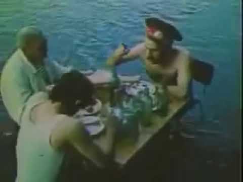 შენი ადგილი ქალაქშია