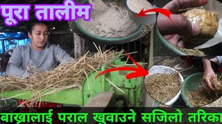 बाख्राको सबै भन्दा सस्तो दाना अब आफ्नै घर माबनाउनुहोस||Best straw feed for goat