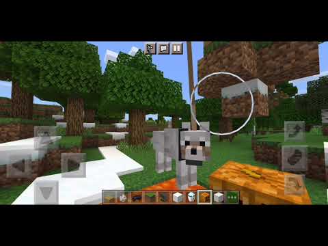 video saturado y muy sus