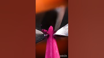 20 Life Lessons That Will Change Your Future Forever