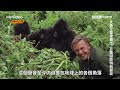 "地球上的生命"幕後紀實：艾登堡的偉大冒險｜預告｜MyVideo線上看