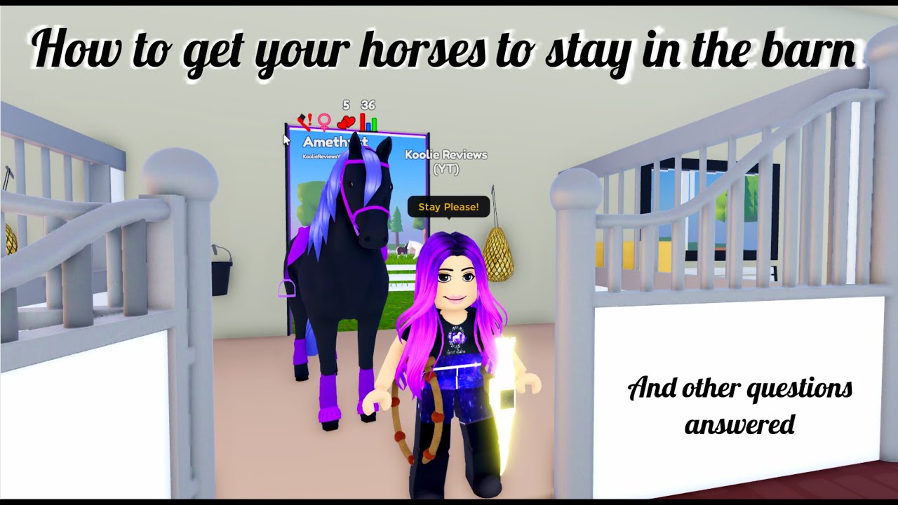 How to keep your horses in the barn Wild Horse Islands YouTube