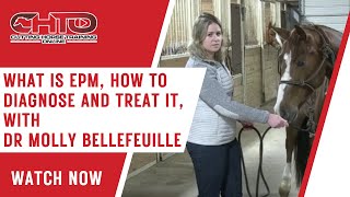 What Is EPM, How To Diagnose and Treat It, With Dr Molly Bellefeuille