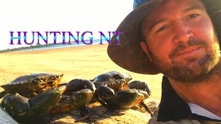 MONSTER MUD CRABS Catch Clean Cook