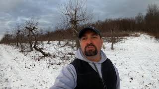 Tour of the orchards at Way Fruit Farm