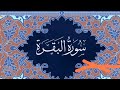 سورة البقرة مكتوبة بصوت عامر الكاظمي طور عراقي
