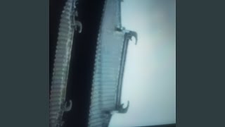 Nebular Visitors Chronicle