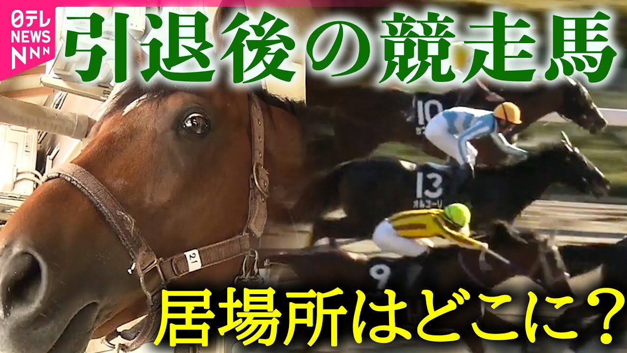 【競馬】レジェンド女性ジョッキー　騎手と育児に奮闘/引退馬に“セカンドキャリア”を…居場所をなくした競走馬の試練