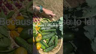 This ain’t ordinary life #homemaking #gardening #garden