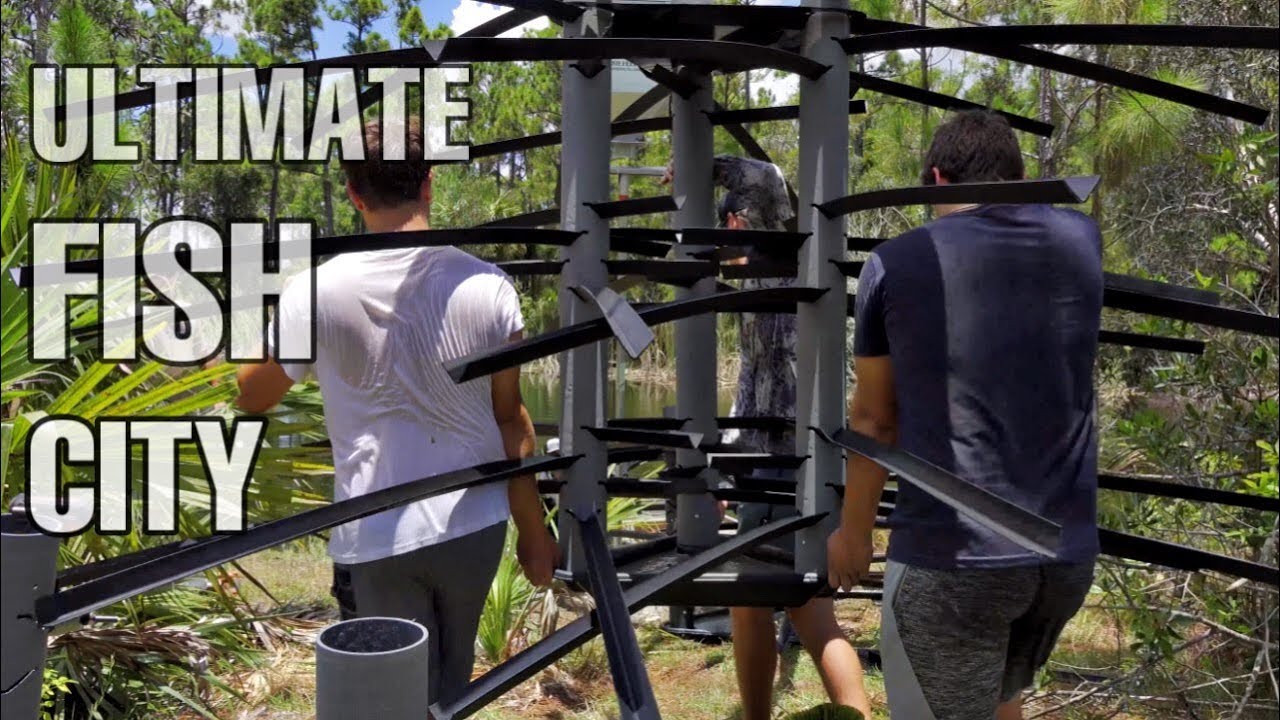 How To build the ULTIMATE FISH CITY!