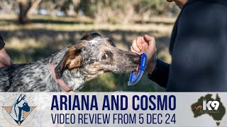 GAK9 Australia - Cosmo - Mantrailing - 05 Dec 24