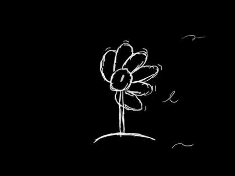 Ecodoty - The Forest Symphony