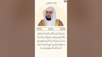 ماهر المعيقلي سورة البقرة آية 164 (كل يوم آية) | Mahmoud Okasha