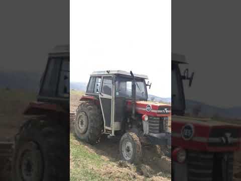 Massey Ferguson 165