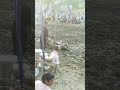Kusthi dangal kushtidangal phehlbanwrestler soilwrestlingvc wrestling association of india