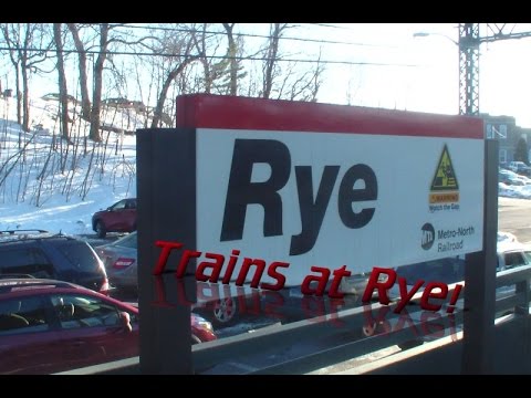 Railfanning at Rye NY - New Haven line Metro North Railroad/Amtrak NE Corridor