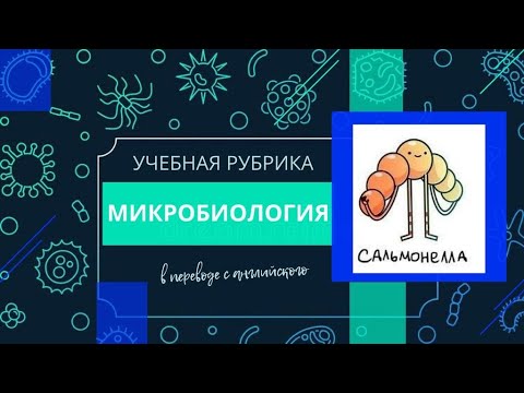 Бейне: Стивтің сальмонелла мен л.мононың ластануына байланысты үш түрлі өнімді ерікті түрде қайтарып алу туралы нақты тамақ өнімдері