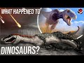 Dinosaurs from the first to the last day of life 4k  reyouniverse