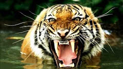 Get Worte die zum nachdenken anregen Free