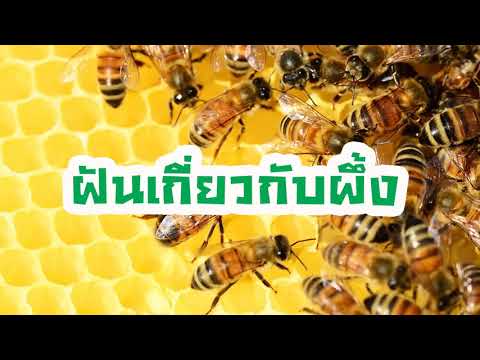 วีดีโอ: ทำไมน้ำผึ้งถึงฝัน