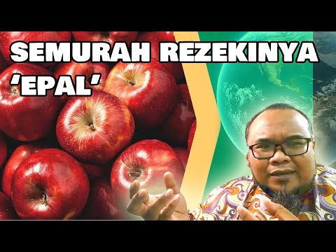 Video: Pokok Epal Rom Merah: Cara Menanam Pokok Epal Rom Merah