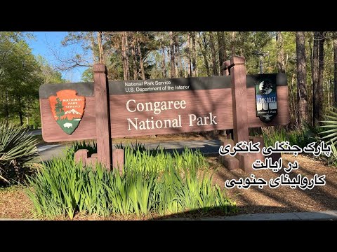 تصویری: پارک ملی Congaree: راهنمای کامل