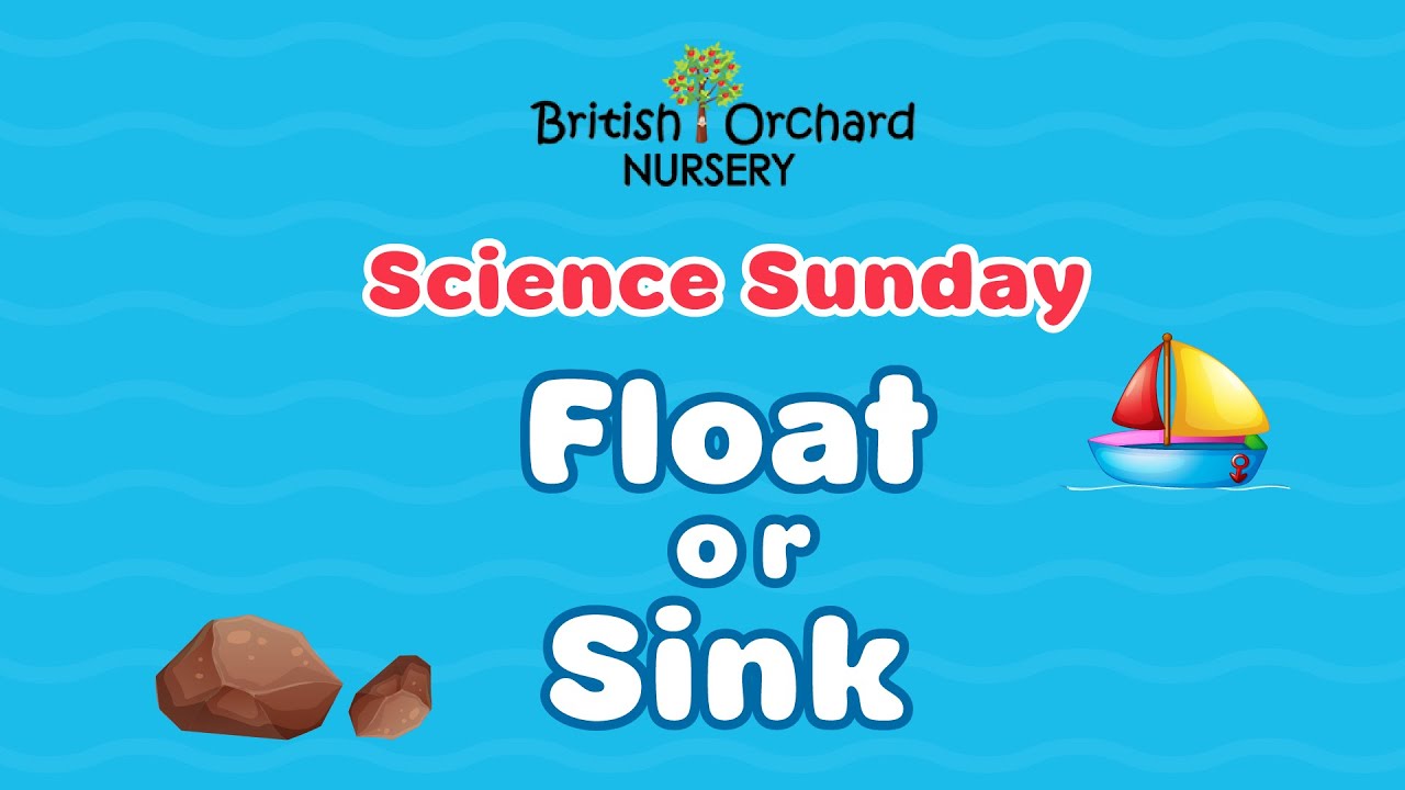 Science Sunday Float and Sink Experiment at BON YouTube