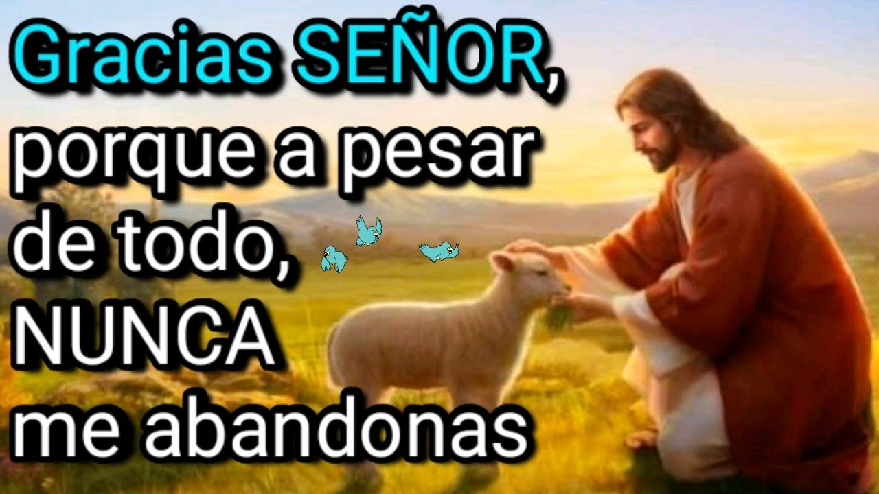 🙏Gracias señor, porque a pesar de todo NUNCA me abandonas YouTube