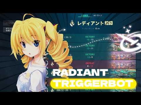 I Tried the Radiant's Valorant Triggerbot | SHOWCASE (orioncc.xyz)