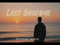 VOID$IDE - Last Goodbye prod. ROD (Official Audio) Hindi rap song