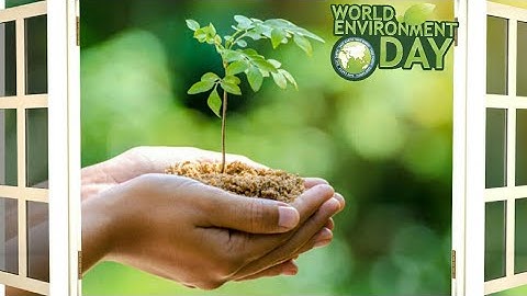 Happy World Environment Day 2019🌱WhatsApp Status Video, Wishes, Greetings, SMS, Quotes