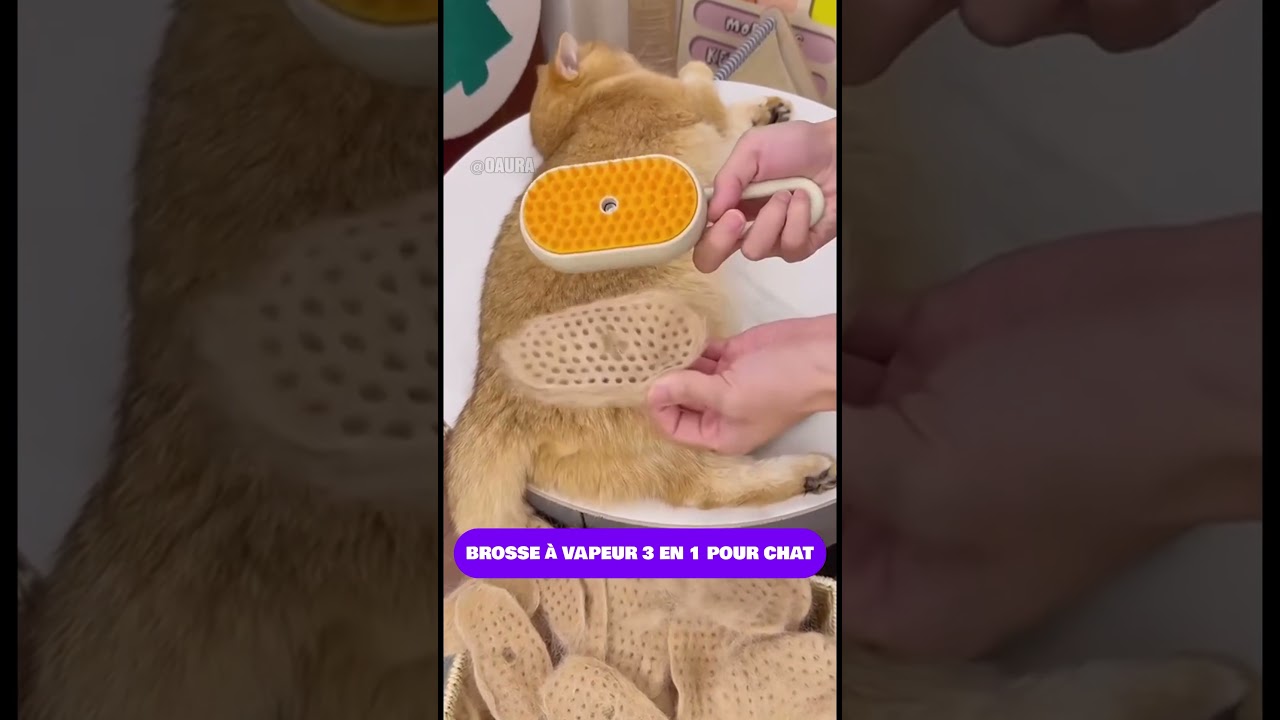 Brosse &agrave; Vapeur 3 en 1 pour Chats