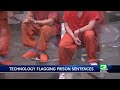 Yolo County DA To Test Program To Make Safe Prison Releases More Efficient Yolo County DA To Test Program To Make Safe Prison Releases More Efficient