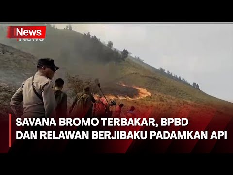 Savana Bromo Terbakar Gegara Sesi Foto Prewedding Pakai Flare