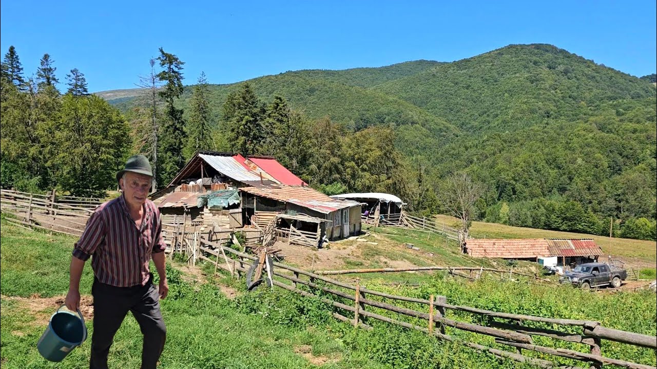 LA STÂNA LUI NEA NELU BUNGHEZ DE LA SIRIU.O FAMILIE DE OAMENI GOSPODARI.