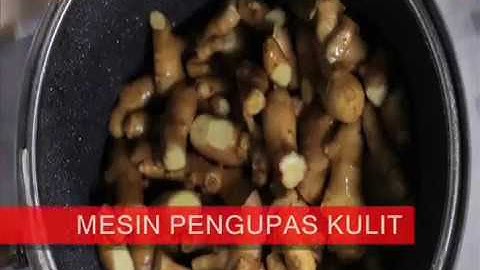 MESIN PENGUPAS KULIT JAHE