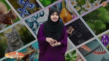 Gohar Science 5|Unit 5|Lec 4|Change in States of Matter